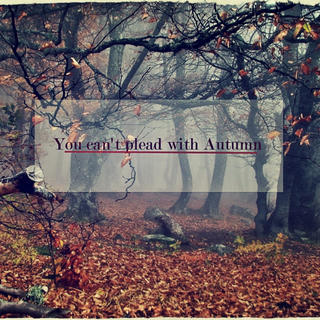 You Can't Plead with Autumn