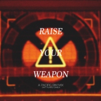 raise your weapon