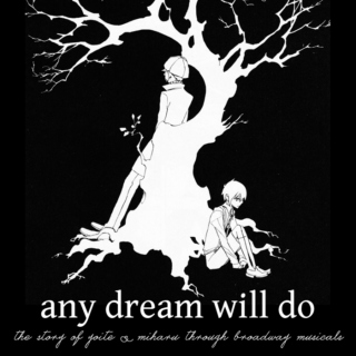 any dream will do