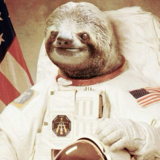 Astro Sloth
