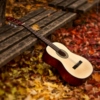 ✽ fall acoustics ✽