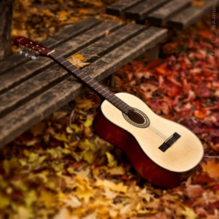 ✽ fall acoustics ✽