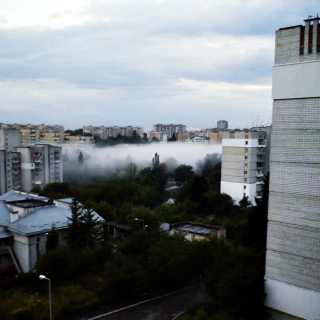 morning fog