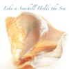 Like a Seashell Holds the Sea
