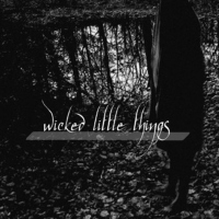 wicked little things