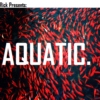 The ElectRick Presents: Aquatic.