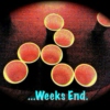 ...Weeks End Vol. 5