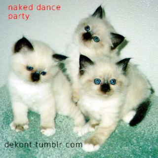 Naked Dance Party