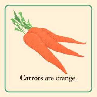 Carrots are orange.