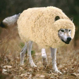 Wolves in sheep's chlothing