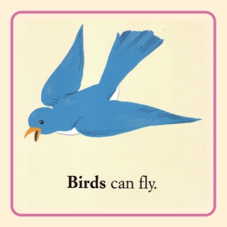 Birds can fly.