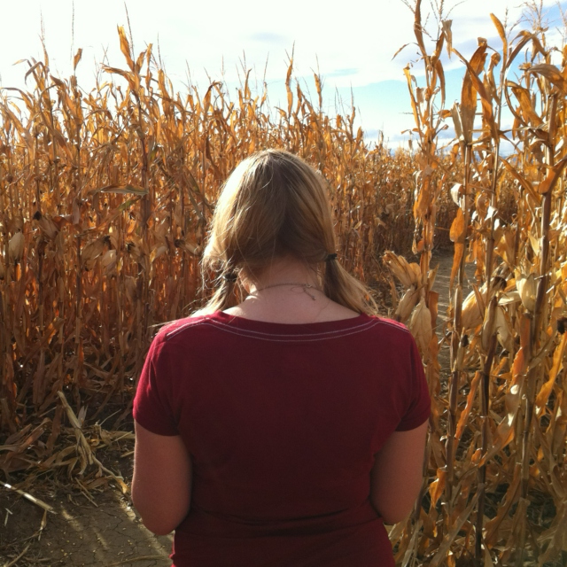 It's Fall...time for a corn maze.
