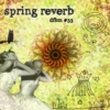 dfbm #33 - spring reverb