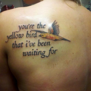 You're the yellow bird that I've been waiting for..