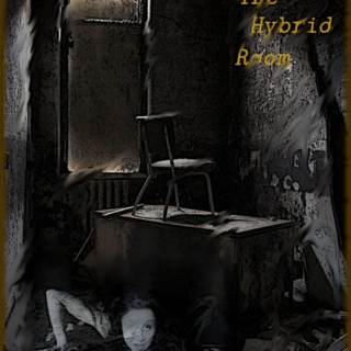The Hybrid Room