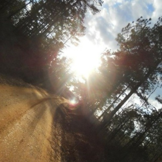 makes me want to take a backroad. 
