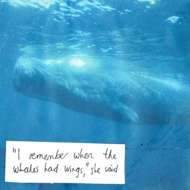 "i remember when the whales had wings," she said