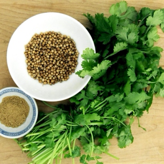 Thyme for Coriander