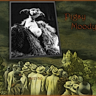 Pigsy Moody