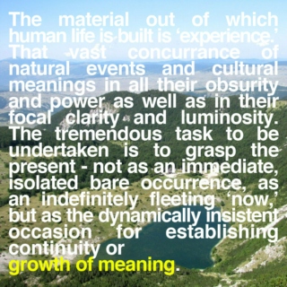 growth of meaning