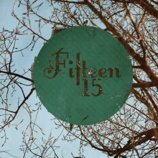 Fifteen