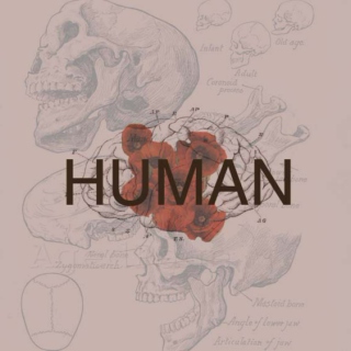 human 