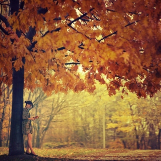 (SC!) Fourteen Tracks About Autumn