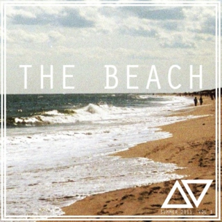 the beach | △▽ summer 2011 vol. 1