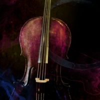 The beauty of cello