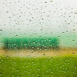 Rain Against the Window