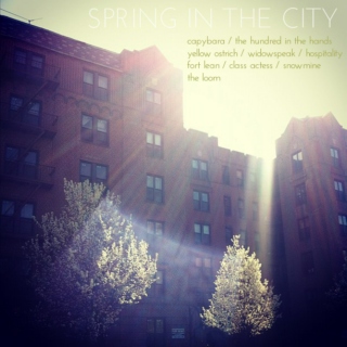 spring in the city