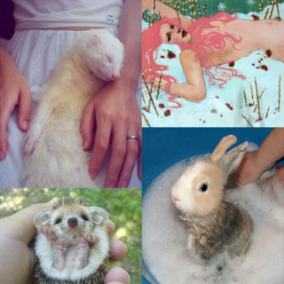 Cute Overload -or- Wet Bunnies & Other Fun Projects