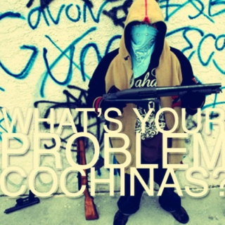 WHAT'S YOUR PROBLEM, COCHINAS?