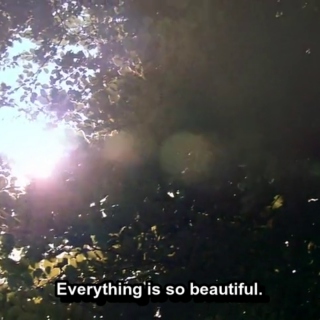 Everything is so beautiful. 
