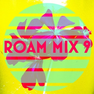 ROAM MIX 9