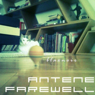antene farewell