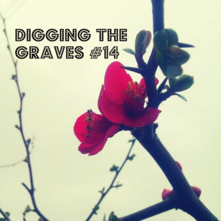 Digging The Graves #14