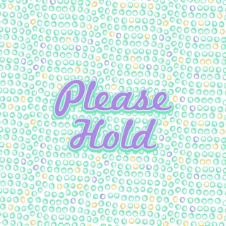 Please Hold 
