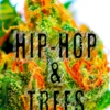 10.7.11 - HIPHOP&TREES