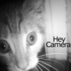 Hey Camera