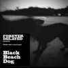 Forever Delayed: Black Beach Dog - DJ Sweet P