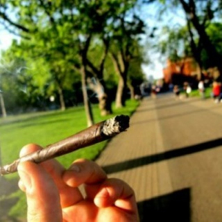smoke that grass on the way to class