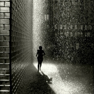 Escape from the rain