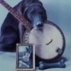 La belle banjo