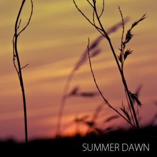 Summer Dawn