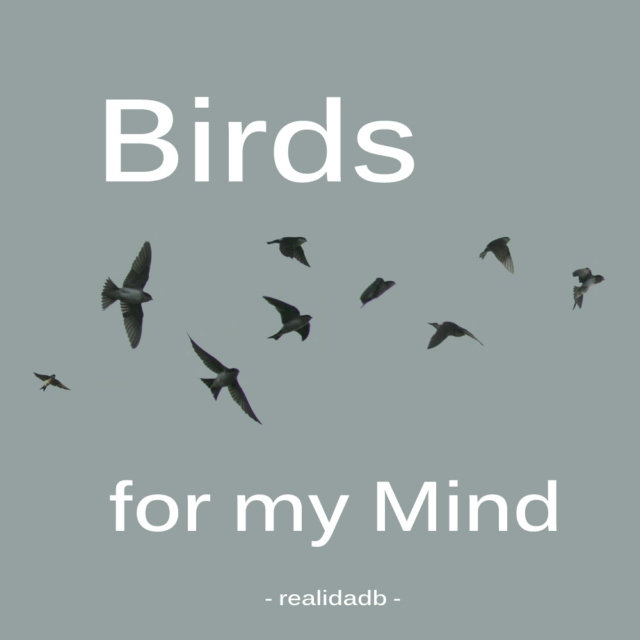 Birds for my Mind