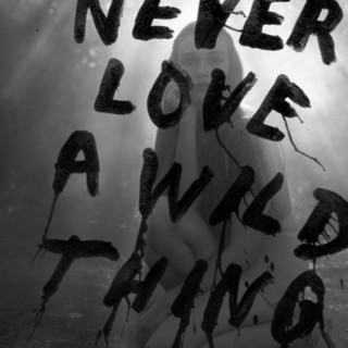 Never Love A Wild Thing