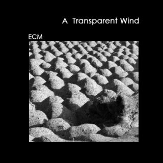  A Transparent Wind 