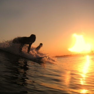 Santa Cruz Summer Surf 