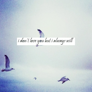 i dont love you but i always will